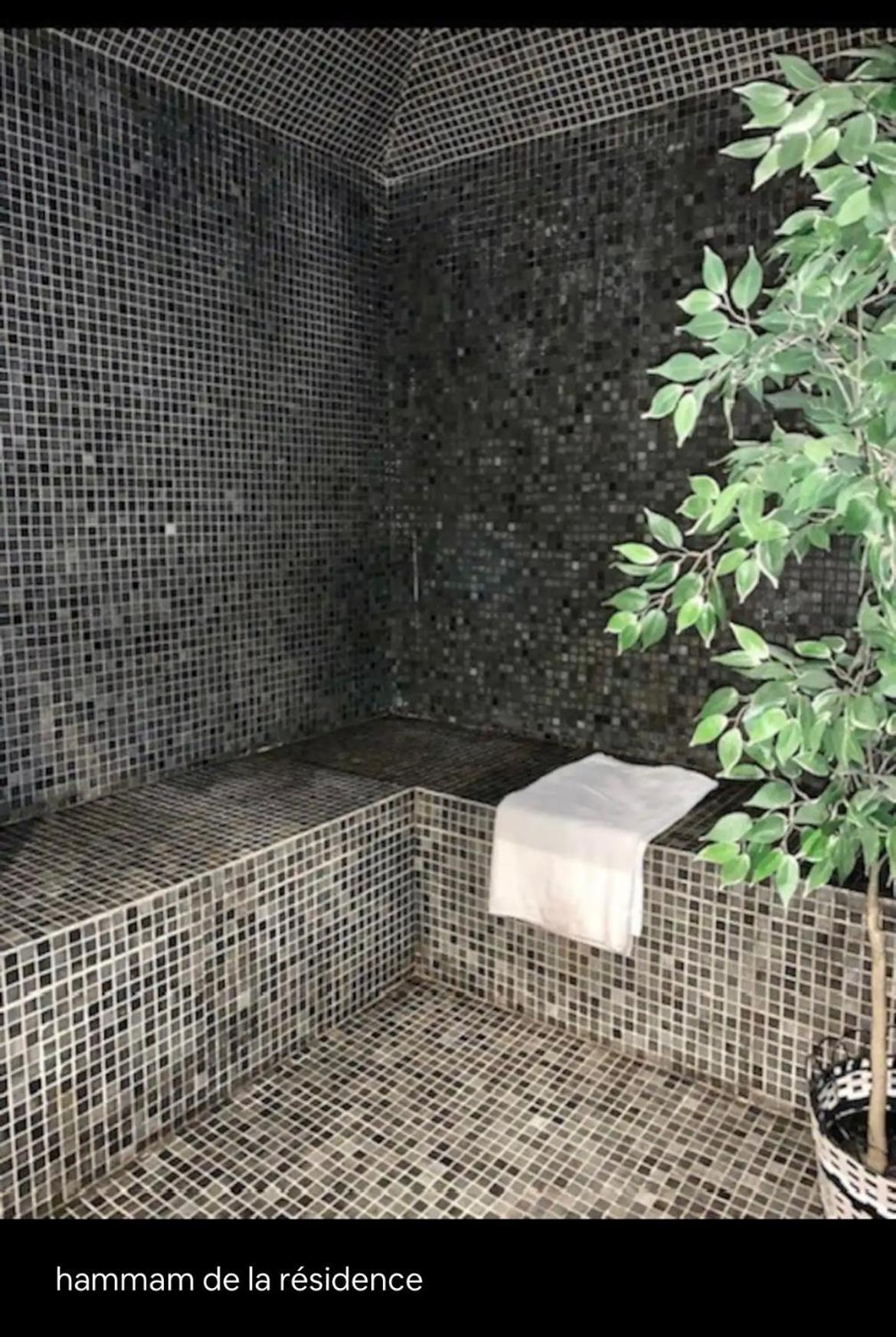 Appartements Avec Piscine Interieure Sauna Parking Etage 1 Au Centre Du Village Dans Residence Cami Real Saint-Lary-Soulan Ngoại thất bức ảnh